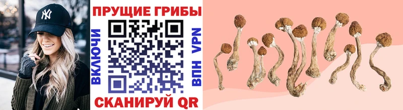 Псилоцибиновые грибы Cubensis  купить наркотик  Ува 